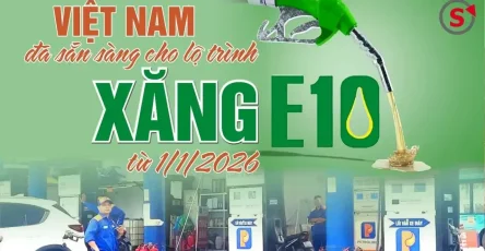 xăng e10 là gì