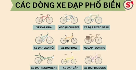 banner các dòng xe đạp phổ biến